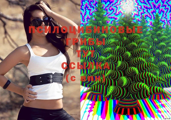 мяу мяу кристалл Алексин