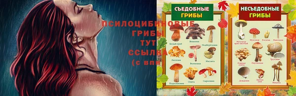 мяу мяу кристалл Алексин